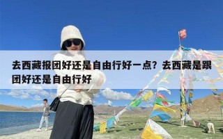 去西藏报团好还是自由行好一点？去西藏是跟团好还是自由行好