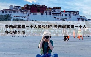 去西藏旅游一个人多少钱？去西藏旅游一个人多少钱合适