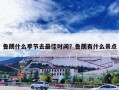 鲁朗什么季节去最佳时间？鲁朗有什么景点