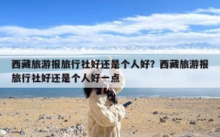 西藏旅游报旅行社好还是个人好？西藏旅游报旅行社好还是个人好一点