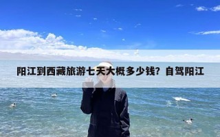 阳江到西藏旅游七天大概多少钱？自驾阳江
