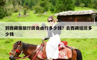 到西藏报旅行团自由行多少钱？去西藏组团多少钱