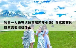独自一人去布达拉宫旅游多少钱？自驾游布达拉宫需要准备什么