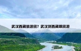 武汉西藏旅游团？武汉到西藏跟团游