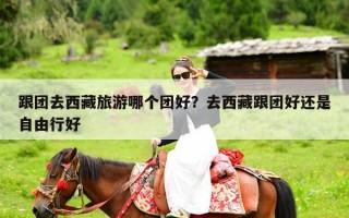 跟团去西藏旅游哪个团好？去西藏跟团好还是自由行好