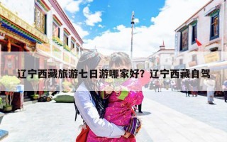 辽宁西藏旅游七日游哪家好？辽宁西藏自驾