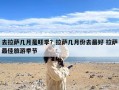 去拉萨几月是旺季？拉萨几月份去最好 拉萨最佳旅游季节