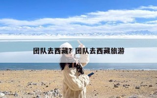 团队去西藏？团队去西藏旅游