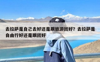 去拉萨是自己去好还是跟旅游团好？去拉萨是自由行好还是跟团好