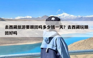 去西藏旅游要跟团吗多少钱一天？去西藏玩跟团好吗