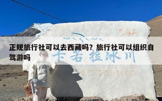 正规旅行社可以去西藏吗？旅行社可以组织自驾游吗