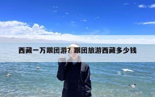 西藏一万跟团游？跟团旅游西藏多少钱