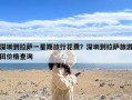 深圳到拉萨一星期旅行花费？深圳到拉萨旅游团价格查询