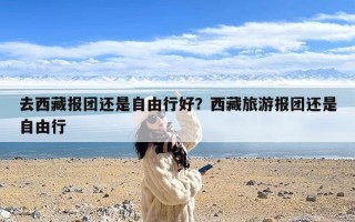 去西藏报团还是自由行好？西藏旅游报团还是自由行