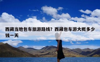西藏当地包车旅游路线？西藏包车游大概多少钱一天