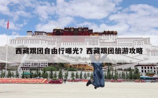 西藏跟团自由行曝光？西藏跟团旅游攻略