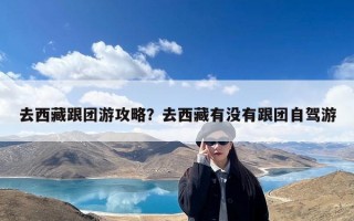去西藏跟团游攻略？去西藏有没有跟团自驾游