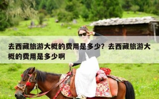 去西藏旅游大概的费用是多少？去西藏旅游大概的费用是多少啊
