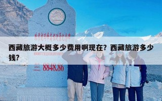 西藏旅游大概多少费用啊现在？西藏旅游多少钱?
