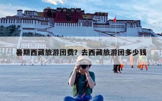 暑期西藏旅游团费？去西藏旅游团多少钱