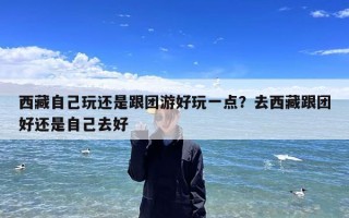 西藏自己玩还是跟团游好玩一点？去西藏跟团好还是自己去好