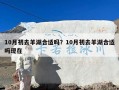 10月初去羊湖合适吗？10月初去羊湖合适吗现在