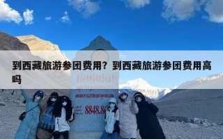 到西藏旅游参团费用？到西藏旅游参团费用高吗