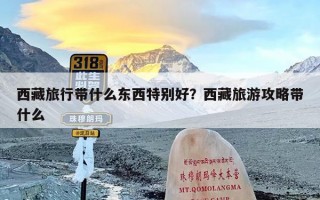 西藏旅行带什么东西特别好？西藏旅游攻略带什么