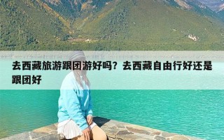 去西藏旅游跟团游好吗？去西藏自由行好还是跟团好