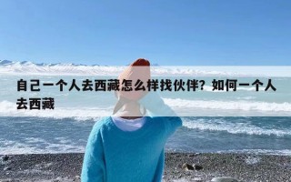 自己一个人去西藏怎么样找伙伴？如何一个人去西藏