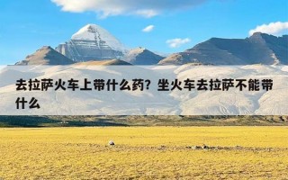 去拉萨火车上带什么药？坐火车去拉萨不能带什么