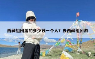西藏组团游的多少钱一个人？去西藏组团游