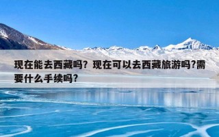 现在能去西藏吗？现在可以去西藏旅游吗?需要什么手续吗?