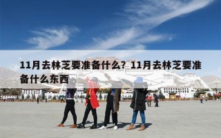 11月去林芝要准备什么？11月去林芝要准备什么东西