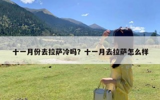 十一月份去拉萨冷吗？十一月去拉萨怎么样