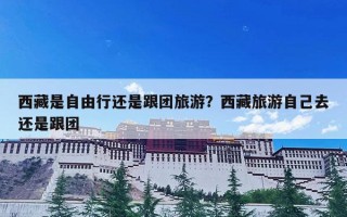 西藏是自由行还是跟团旅游？西藏旅游自己去还是跟团