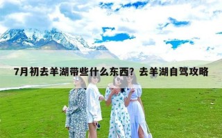 7月初去羊湖带些什么东西？去羊湖自驾攻略