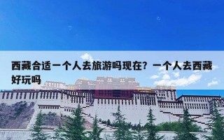 西藏合适一个人去旅游吗现在？一个人去西藏好玩吗