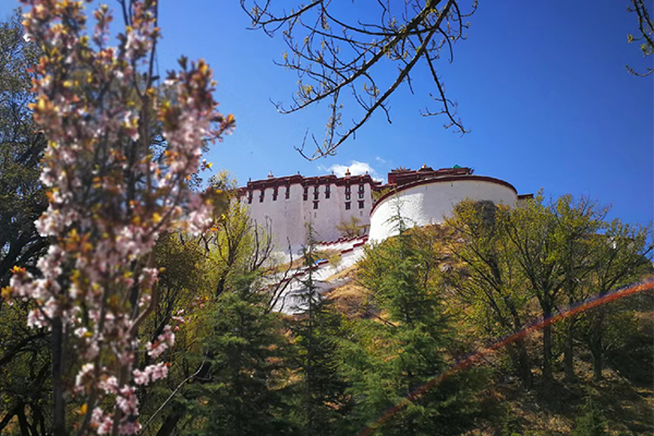 西藏旅游几月份去最好