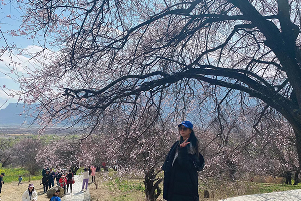 佛山到西藏3月份旅游多少钱