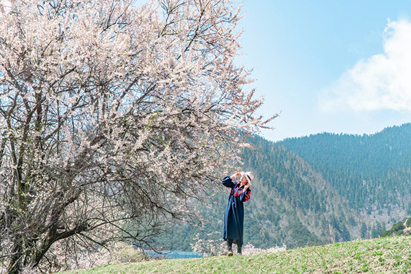 林芝旅游三月玩5天要多少钱