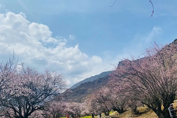 3月从浙江绍兴出发西藏玩5天多少钱