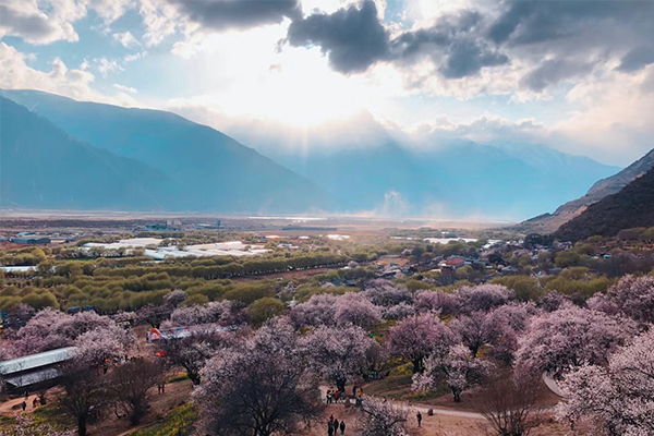 3月洛阳去拉萨旅游最少多少钱