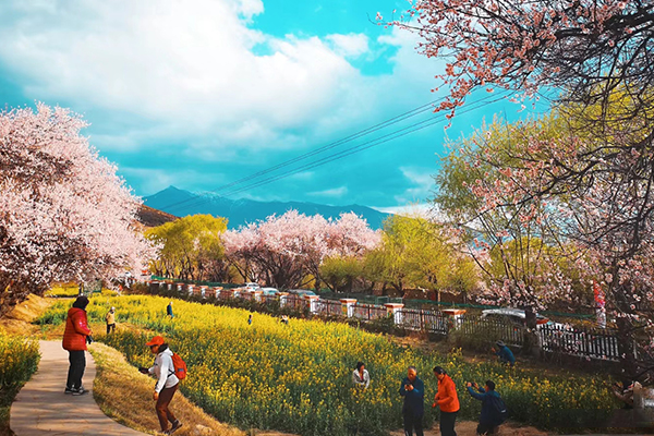 三月去西藏跟团旅行一次要多少钱
