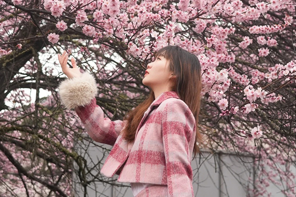 4月初宜昌去西藏旅游要花多少钱