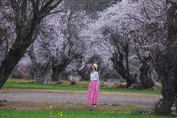 4月去西藏要花多少钱武汉出发