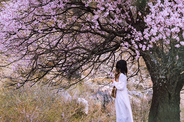 三月林芝桃花节旅游怎么玩合适