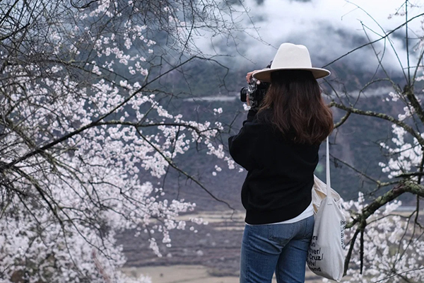 3月天津跟旅游团去西藏费用多少