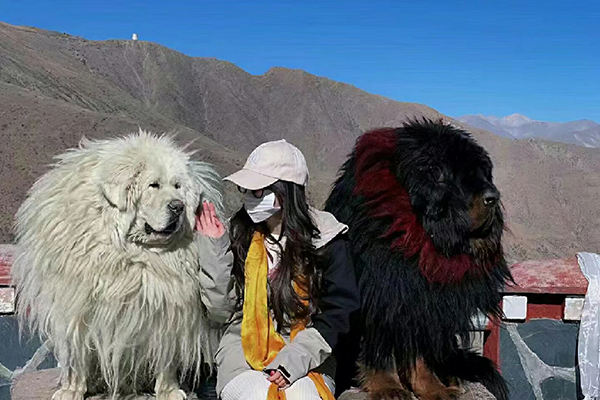 4月初吉安去西藏旅行玩六天好多钱